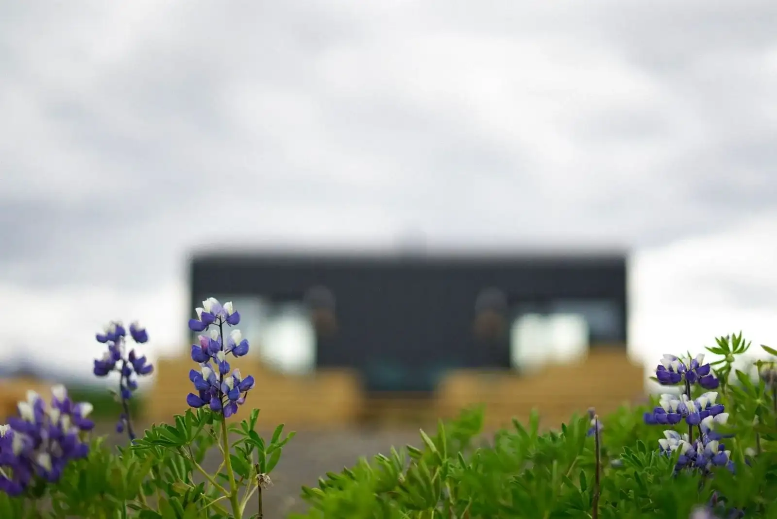 Project van Bouw Art: Scandic Split in IJsland, foto 5