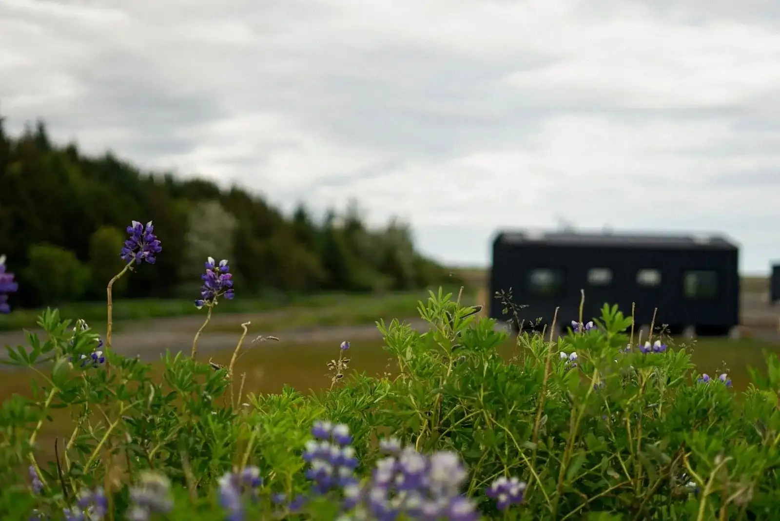 Project van Bouw Art: Scandic Split in IJsland, foto 9